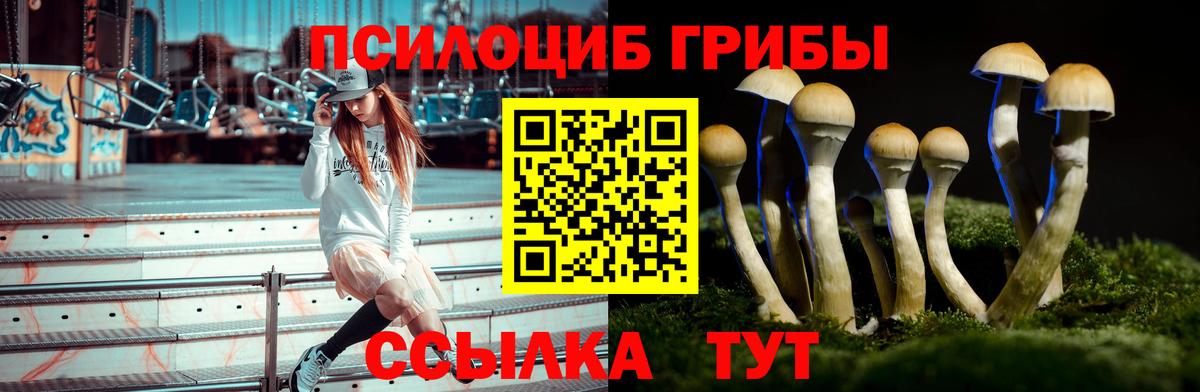Галлюциногенные грибы мухоморы  Вход с VPN  где найти   Приморско-Ахтарск  Галлюциногенные грибы мицелий 